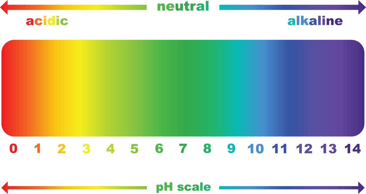 enagic-ph-scale-1232×653