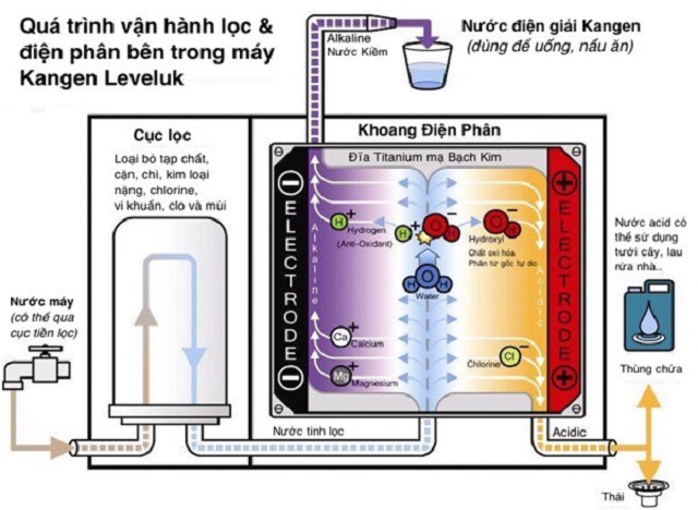 Chu trình lọc và điện phân nước ở dòng thiết bị Kangen Leveluk SD501 Platinum